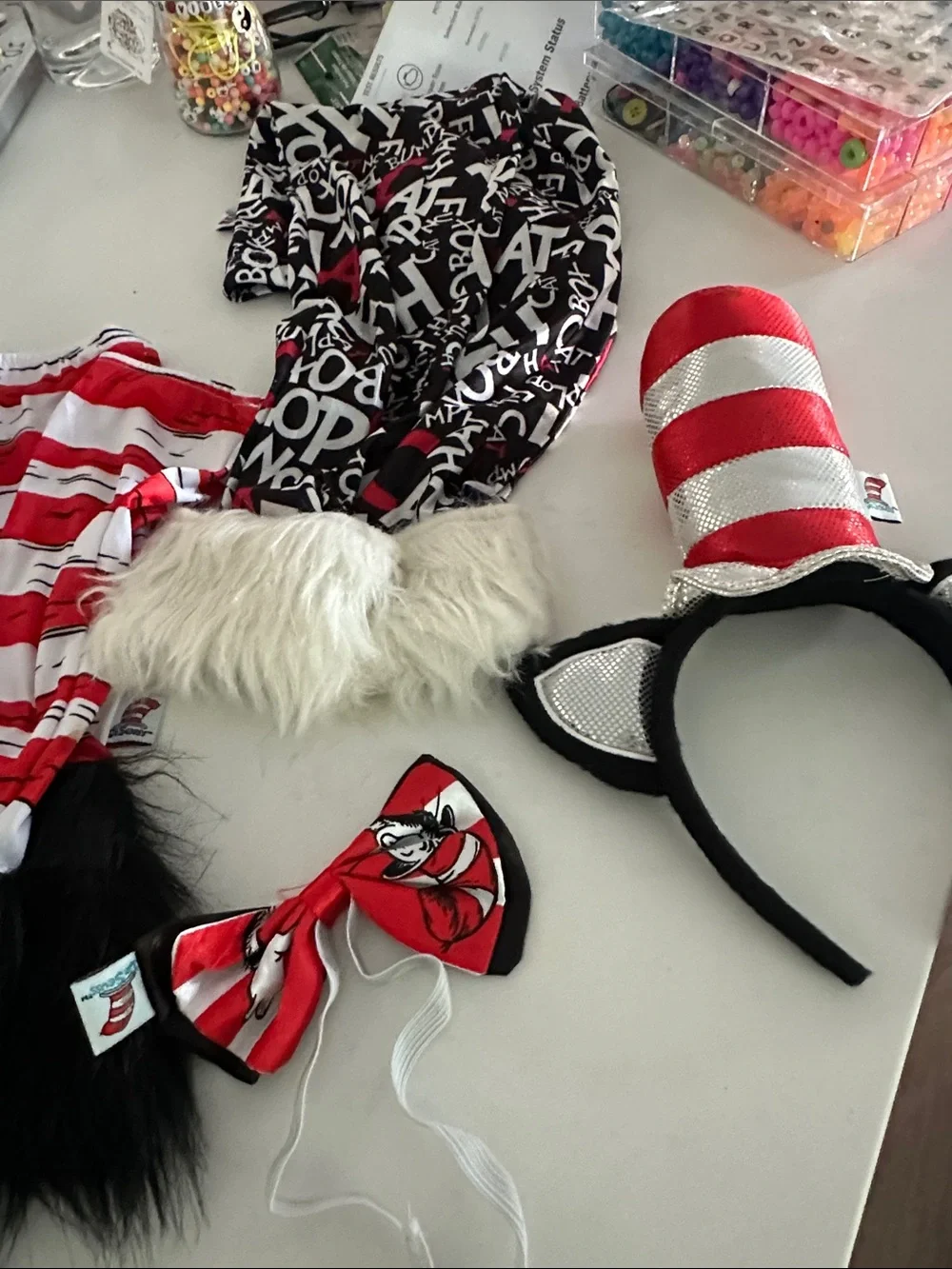 Dr. Seuss custom
